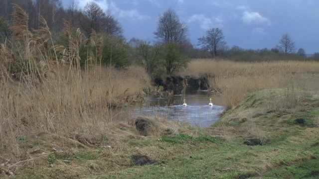 Pic 5320