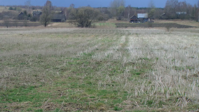 Pic 5322