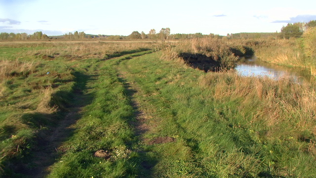 Pic 0247