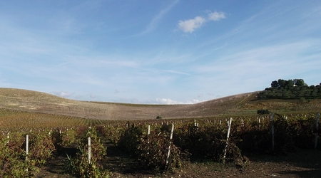 Winnice – Segesta, Włochy