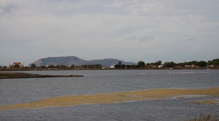 Dscf2010 – Birgi, Włochy