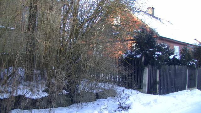 Pic 0915