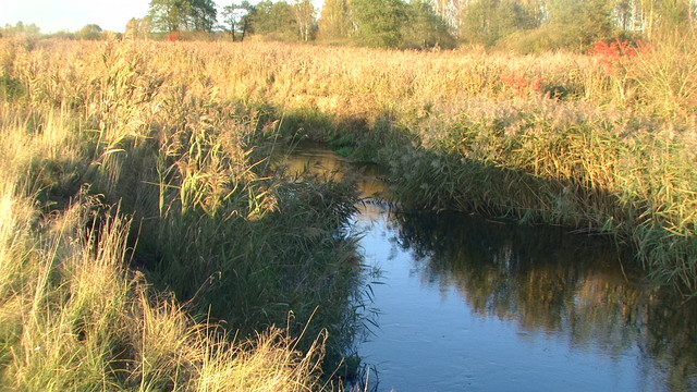 rzeka Świsłocz