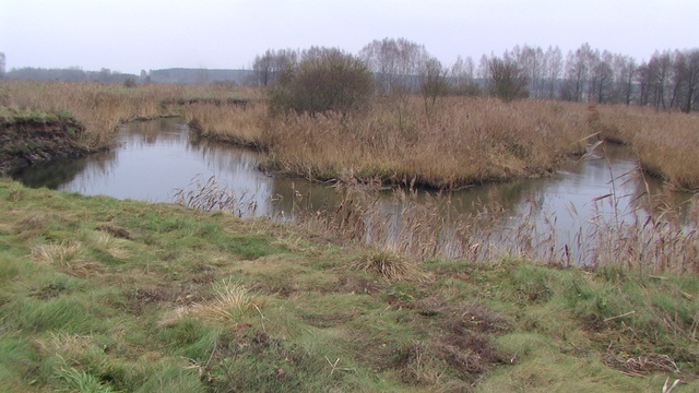 Świsłocz.