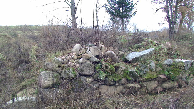 ruiny, fundamenty po domu MICHALINY SZUSTA