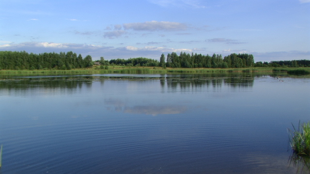 Pic 0465