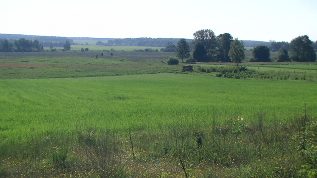 widok na pradolinę Świsłoczy