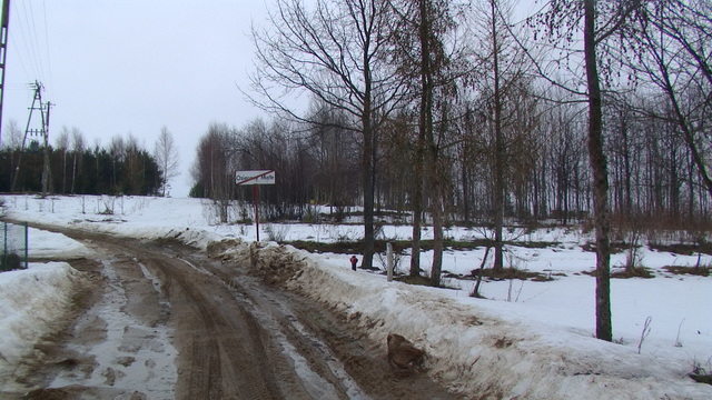 Pic 2768