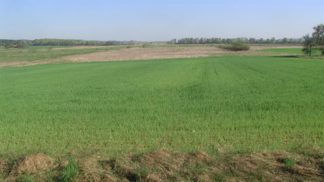 Pradolina Nietupy