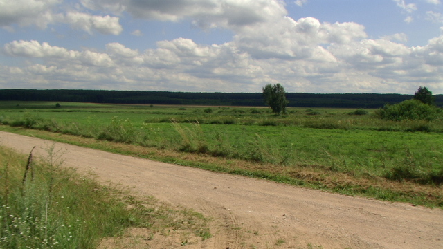 Dolina Nietupy.