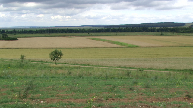 Widoki na  pradolinę Świsłoczy