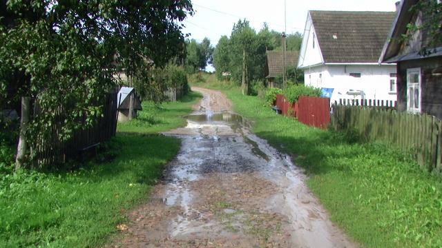 Nie ma to jak to  kocie lby + Ozierany Male