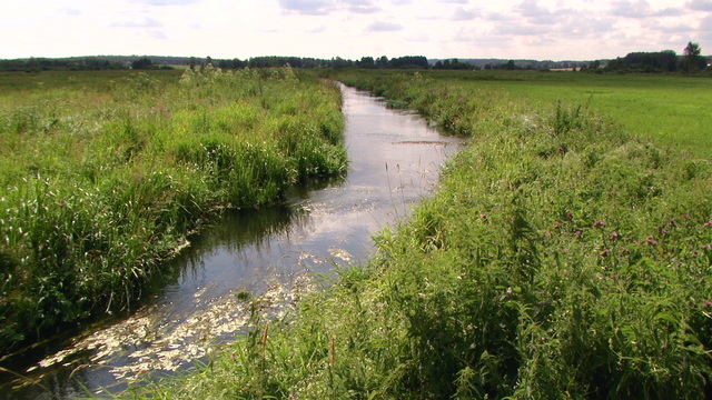 Nietupa.