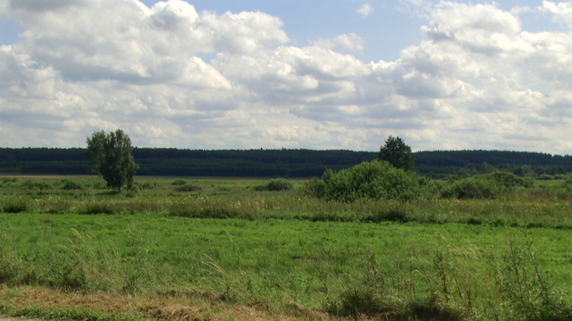 Dolina Nietupy.