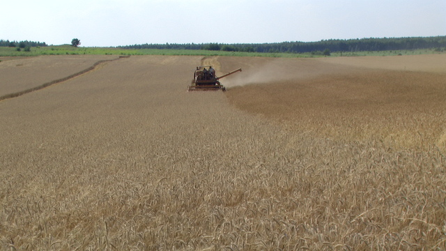 Żniwa 2012.