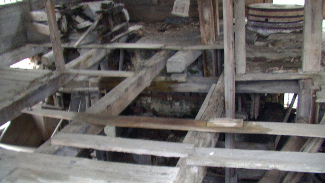 Pic 4613