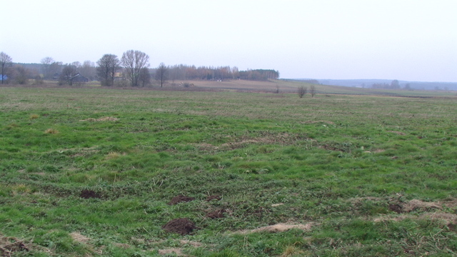 2012. Wspólnota Pastwiskowa -DOlina Świsłoczy, dalej zarośla  nieistniejącej wsi JAMASZE.