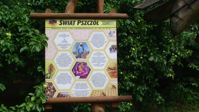 Poczopek. Nadleśnictwo . SILVARIUM.