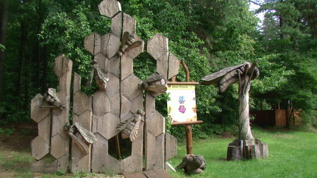 Poczopek i pszczoły. SILVARIUM.