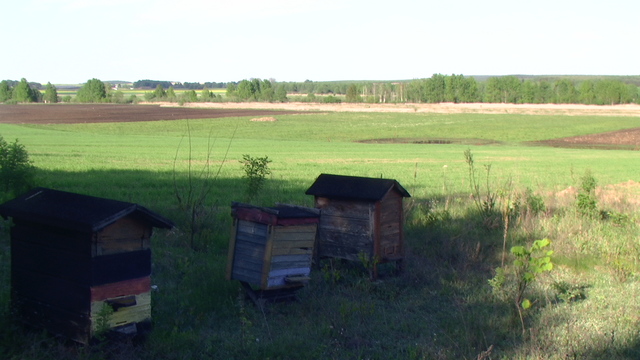 Pic 0033
