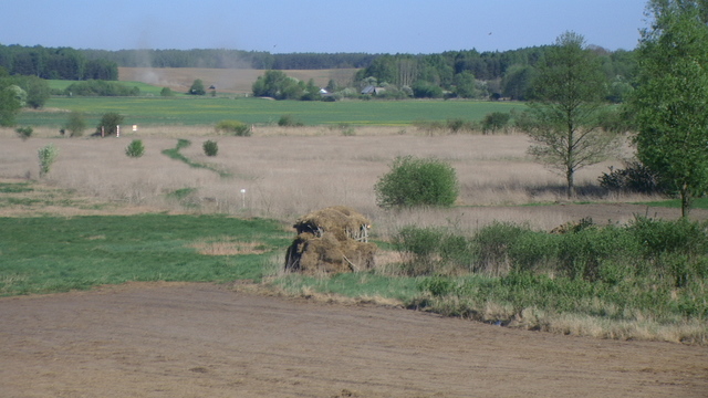 Dolina Świsłoczy. Wiosna 2012. 