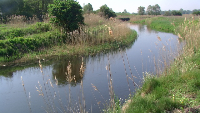 Świsłocz. 