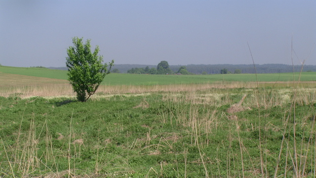 Pic 0802