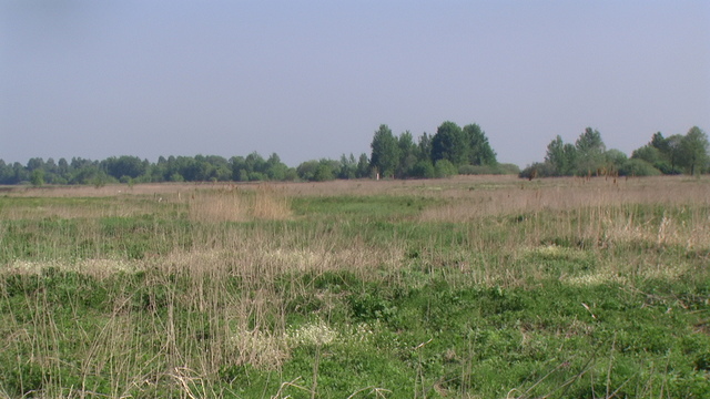Pic 0803
