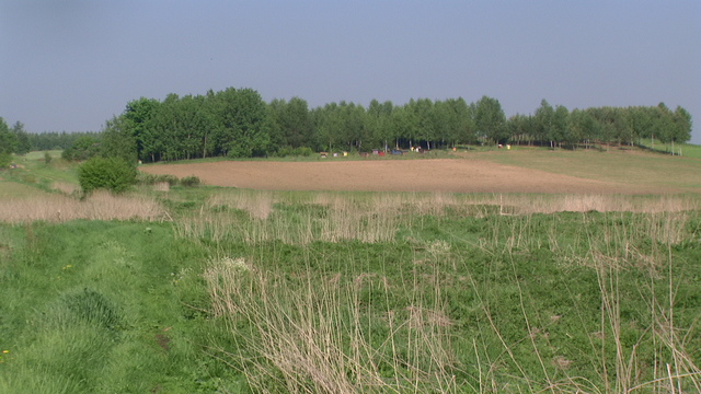 Pic 0801