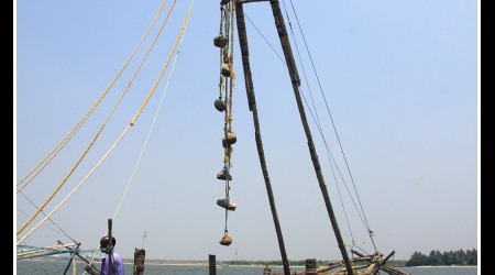 Indie 7677 – Cochin