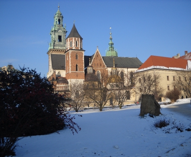 Wawel - widok na katedrę