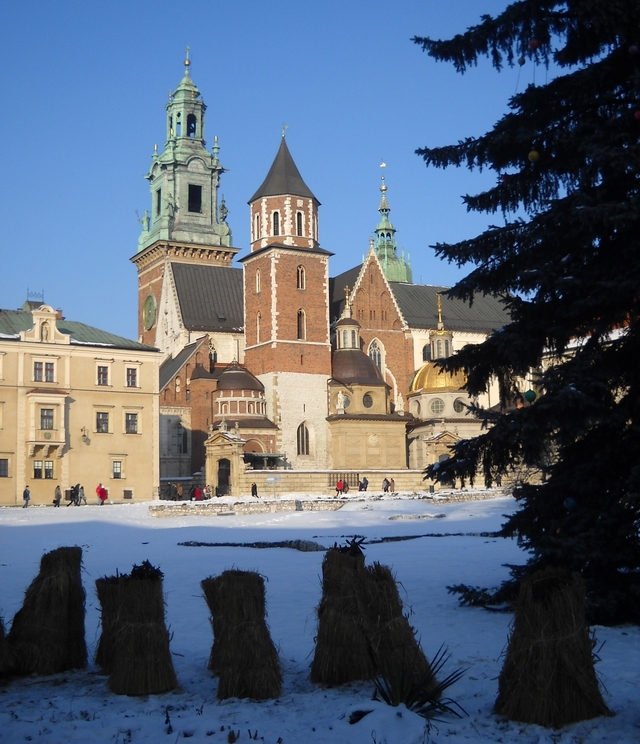 Wawel - widok na katedrę