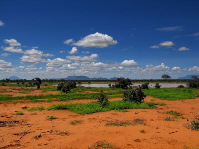 park narodowy Tsavo East Kenia