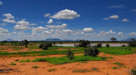 park narodowy Tsavo East Kenia