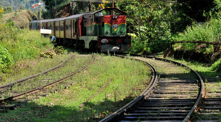 Herbata 000 – Nuwara Eliya, Sri Lanka