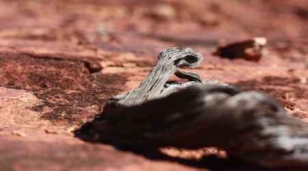Image331 – Alice Springs, Australia
