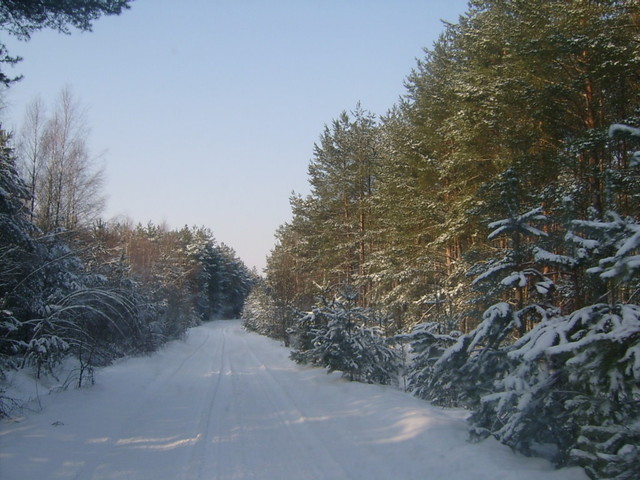 Droga w okolicy Ciełuszek (Puchły - Soce)