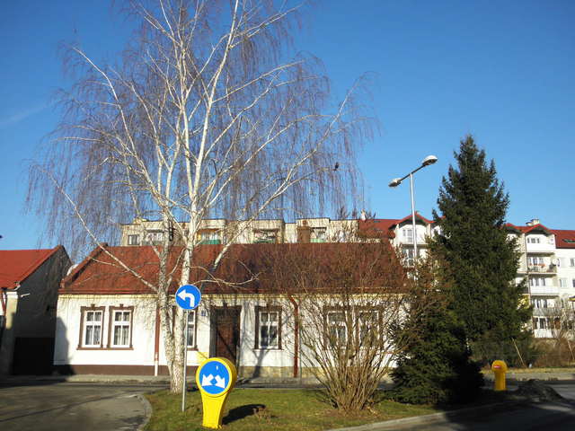 Pc300010