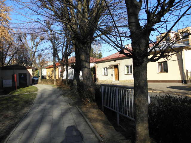Pc300041