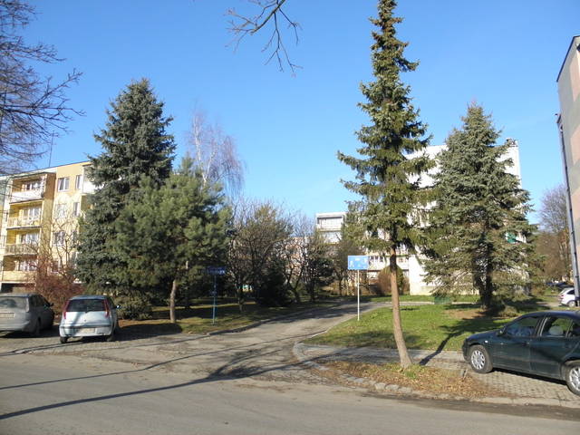 Pc300046