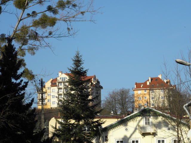 Pc300052