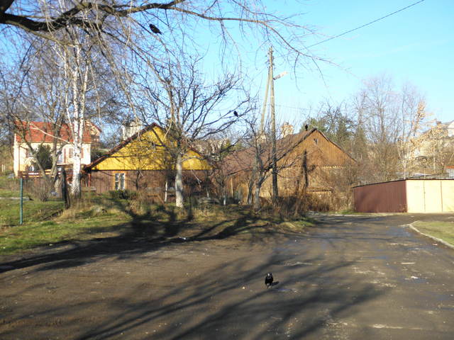 Pc300055