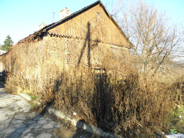 Pc300056