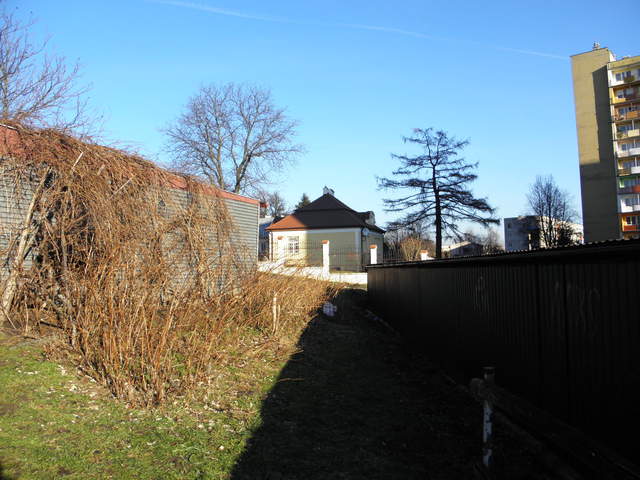 Pc300060