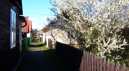 Ulica Wąska w Borku – Zwierzyniec, Polska