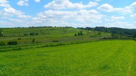 Pola pod Zwierzyńcem – Zwierzyniec, Polska
