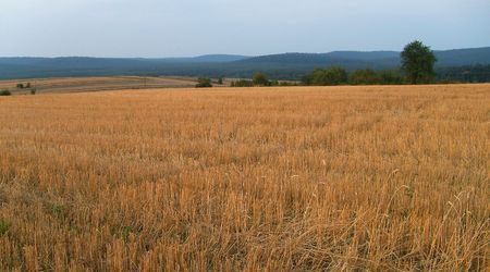 Jesień – Zwierzyniec, Polska