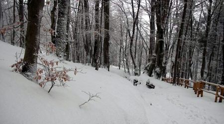 na szlaku – Ustrzyki Górne, Polska