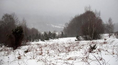 w dolinie – Ustrzyki Górne, Polska