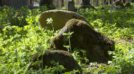 cmentarz – Kruszyniany, Polska
